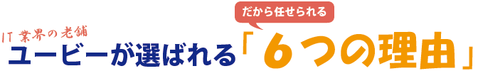 Webシステム開発で、ユービーが選ばれる「6つの訳」